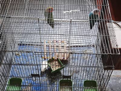 fishers for sale