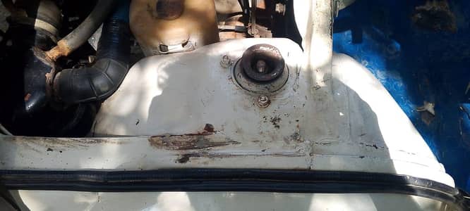 Suzuki ravi