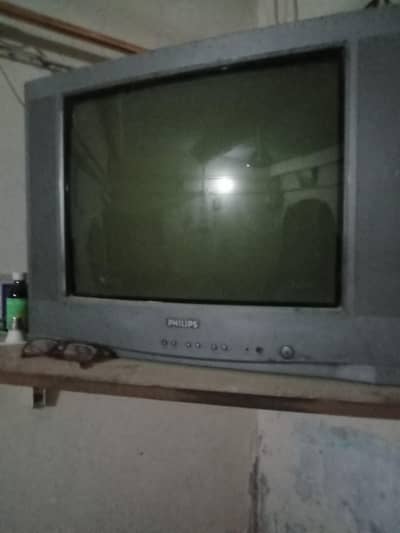 tv philip 24 inch