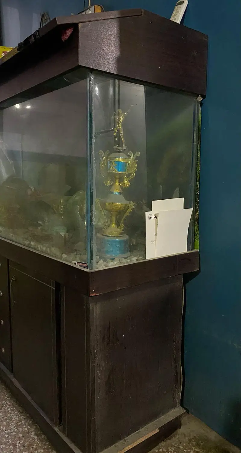 6 Feet Large Fish Aquarium for Sale — photo 2