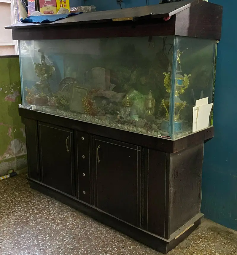 6 Feet Large Fish Aquarium for Sale — photo 3