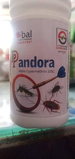 Pandora