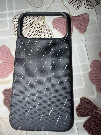 17 pro max cover
