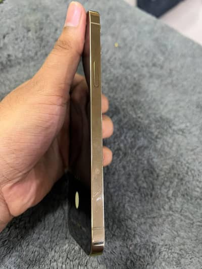 Apple iPhone 12 Pro Max