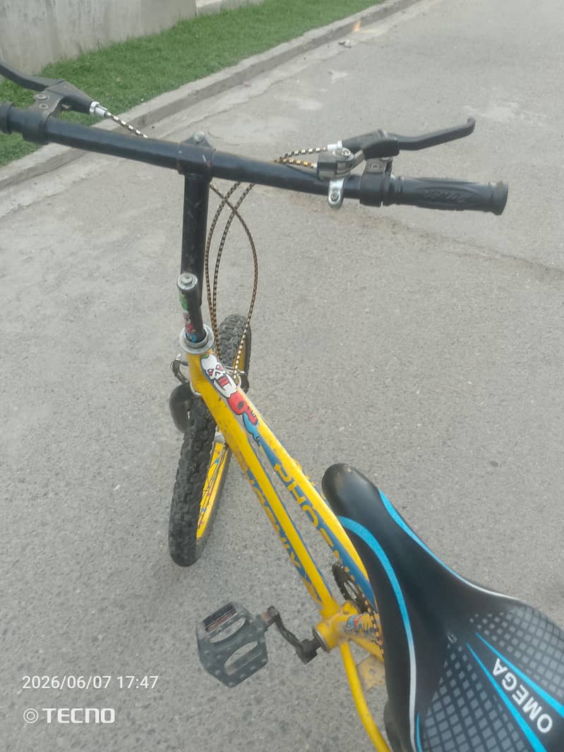 Cycle 4