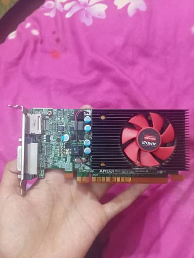 2gb ddr5 graphics card