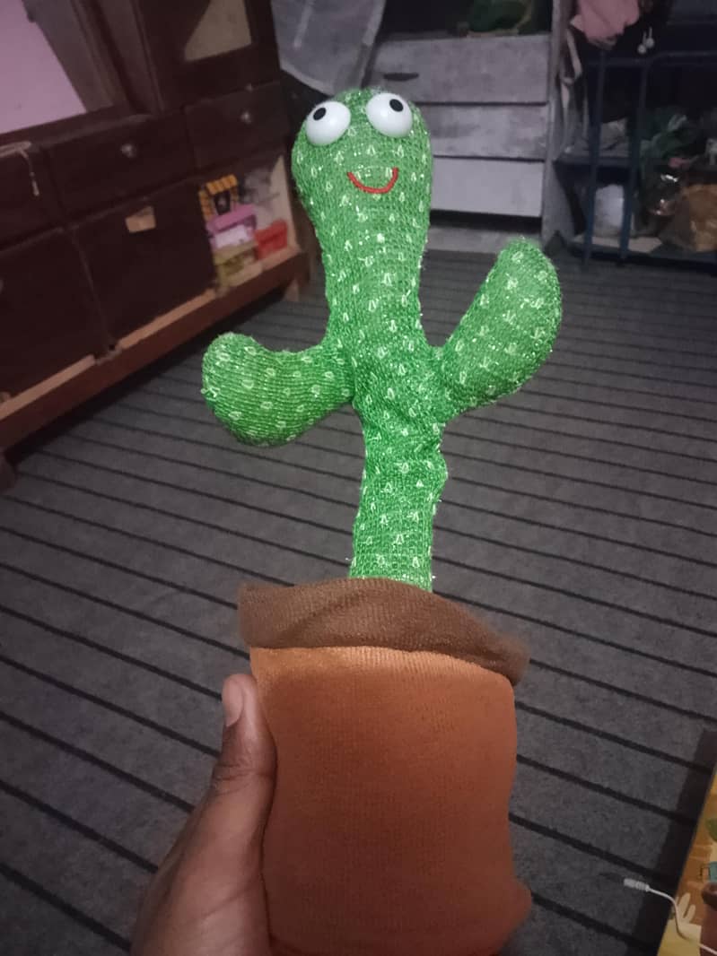 Dancing cactus  1