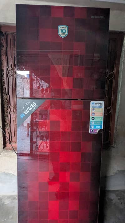 waves reborn (glass door)