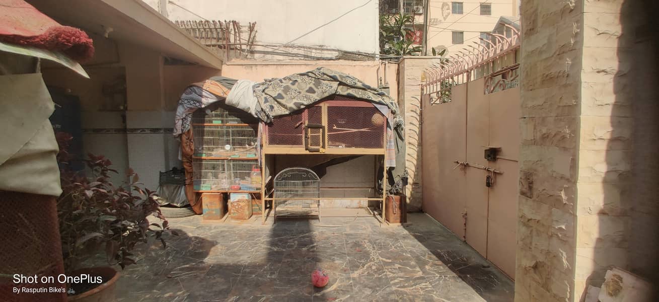 Java Colony & Finch 6