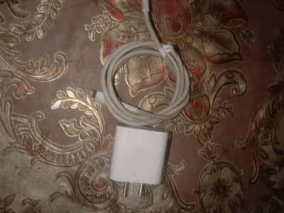 original apple adapter with original Ronin cable