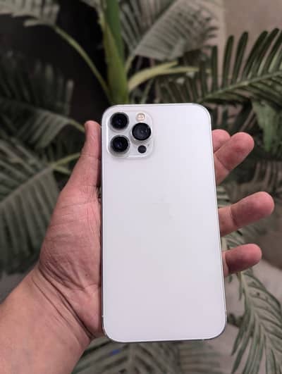 Apple iPhone 12 Pro Max