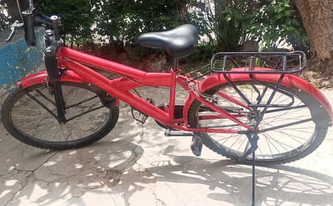 No Gear Bicycle Low Price