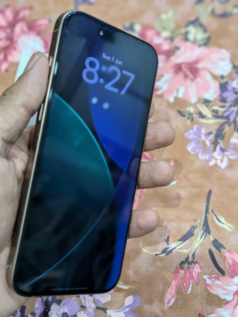 Apple iPhone 16 Pro Max 1