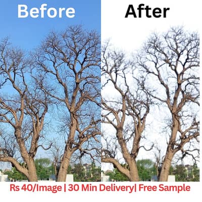 Rs 40/Image | 30 Min Delivery | Free Sample