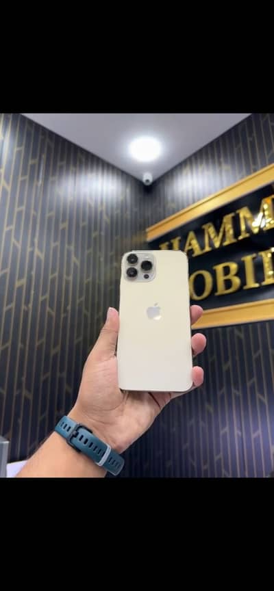 Apple iPhone 13 Pro Max