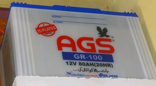 AGS 15 palet 6 month use