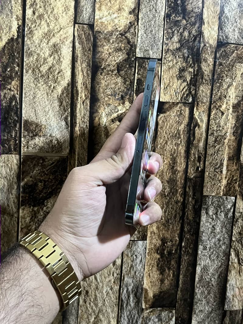 iPhone 12 Pro Max 4