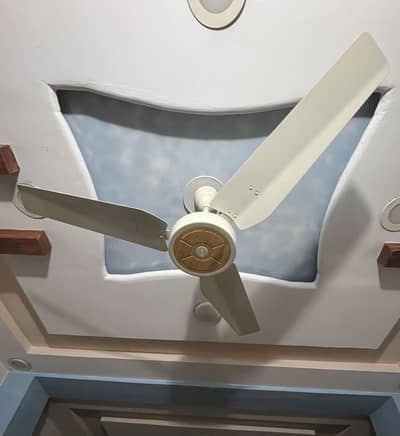 Royal ceiling fan - brand new - 56 inch