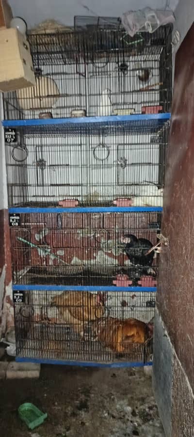 Iron cage 8 boxes no exchange only sale