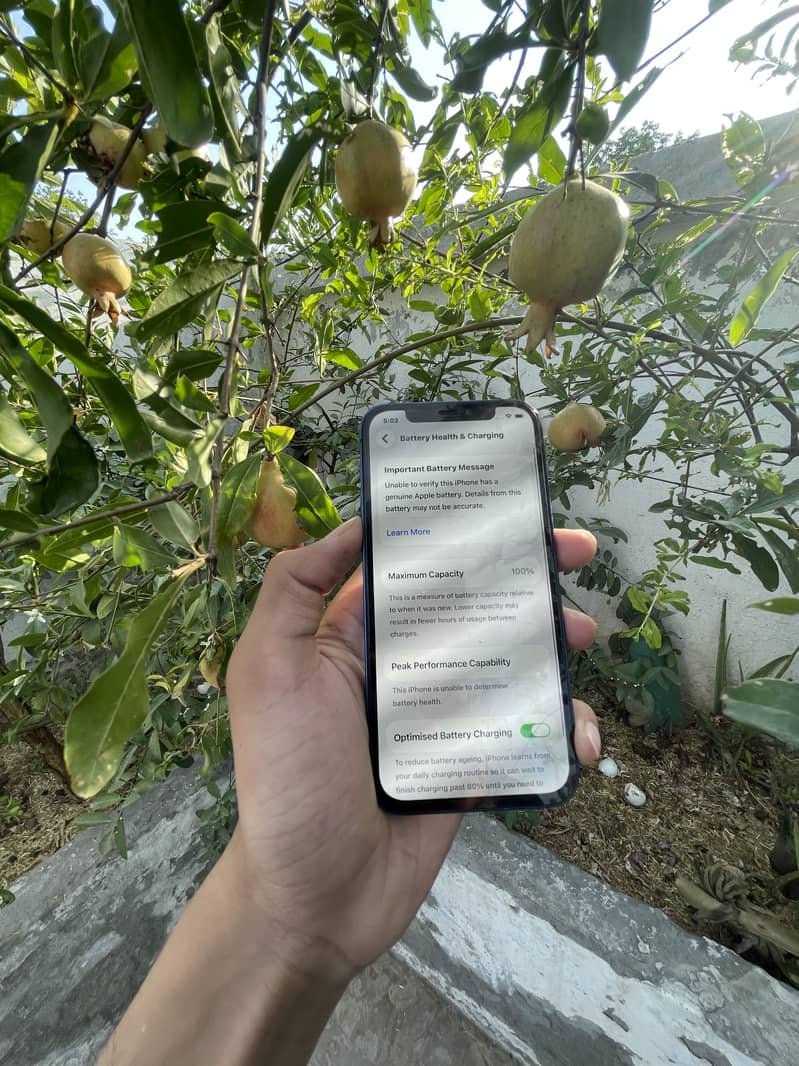 Apple iPhone 12 1