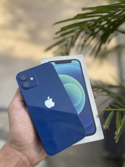 Apple iPhone 12