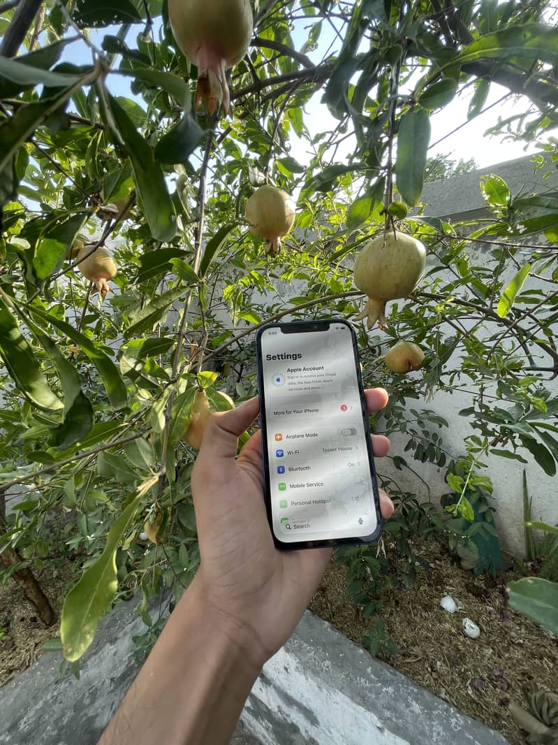 Apple iPhone 12 4