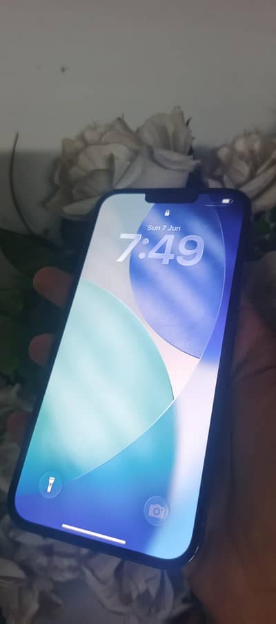 Apple iPhone 13 Pro Max jv