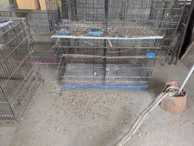 Used cages & boxes available