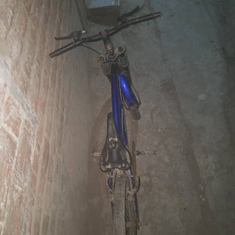 spoort cycle 2