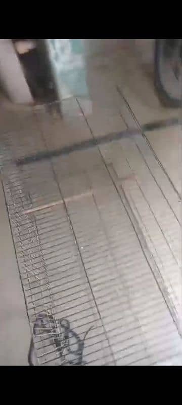 cage 2500