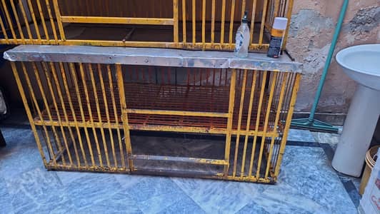cage of hens
