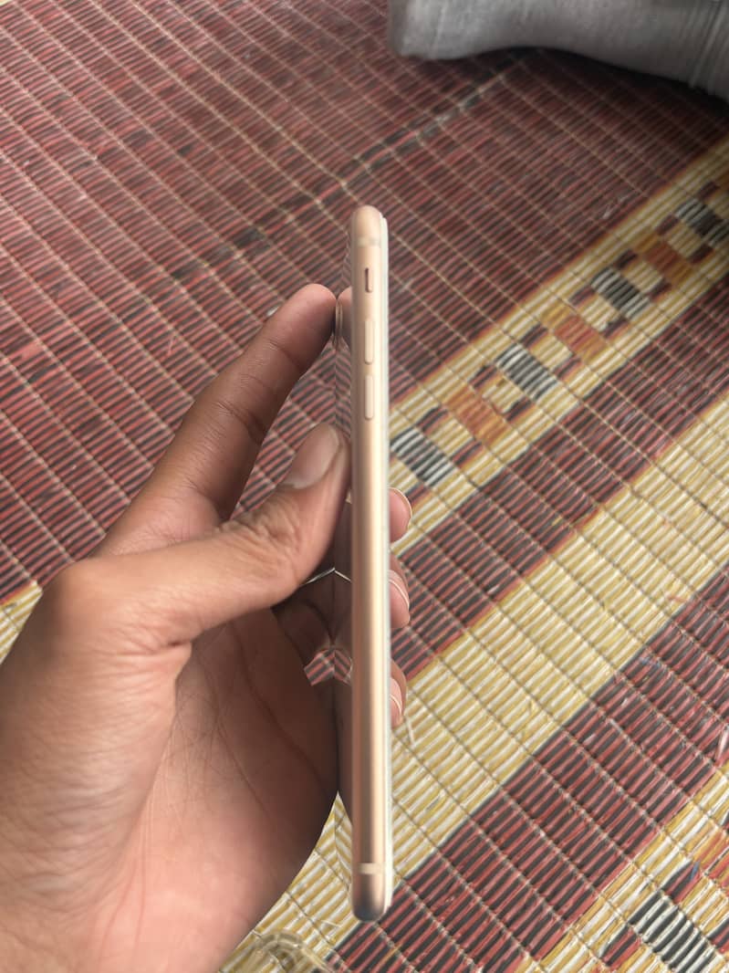 Apple iPhone 8 Plus 3