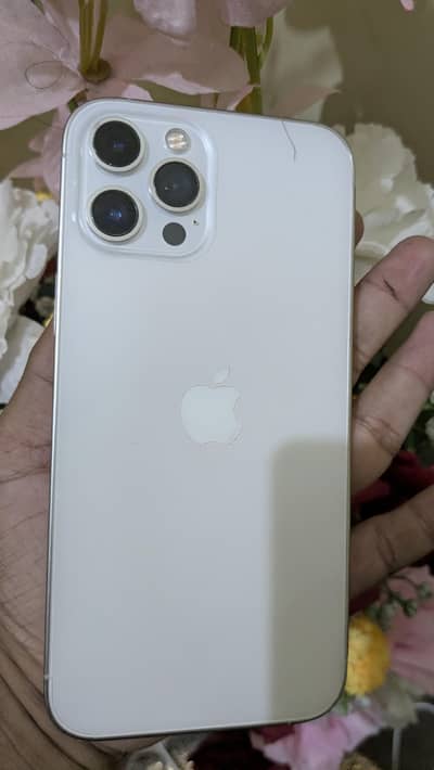 Apple iPhone 12 Pro Max