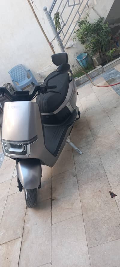 crown Scotty 2025
