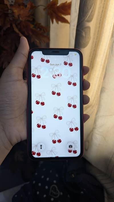 Apple iPhone 11 (non pta)