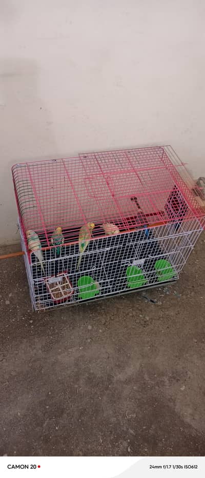 breeding pairs