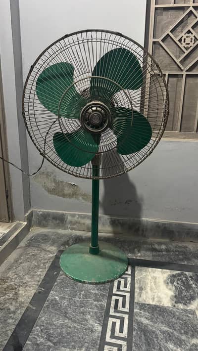 Pedistal fan ( asia )