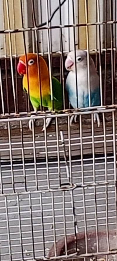 for sale 2 in one . 2 ka sath ek free