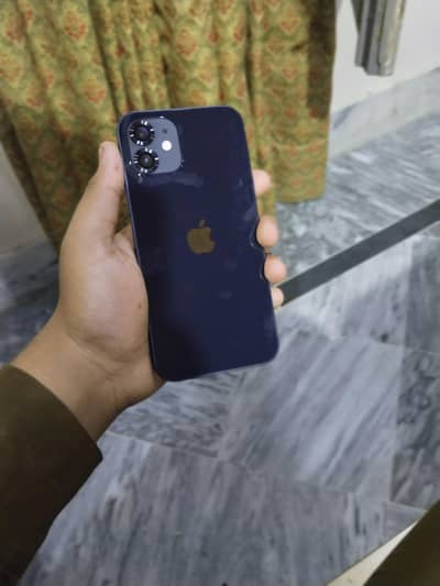 Apple iPhone 12