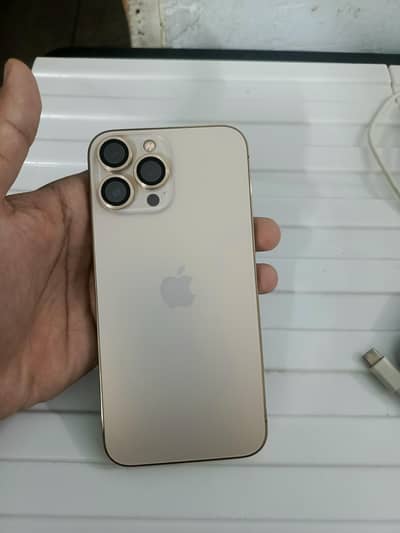 Apple iPhone 13 Pro Max