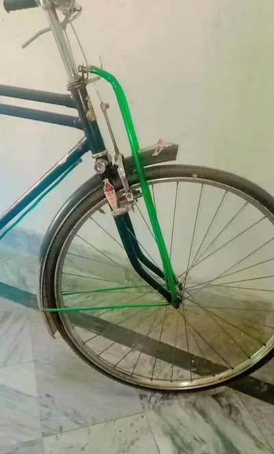 Shaheen bicycle