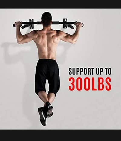 wall Maunted Pull up bar