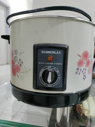 MAMMONLAX DEEP FRYER FOR SALE