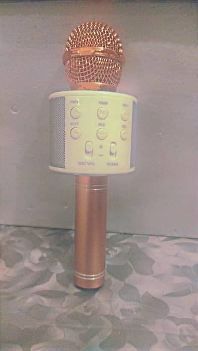 wireless microphone 