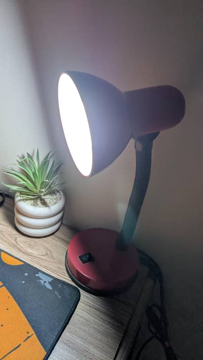Importer Table Lamp