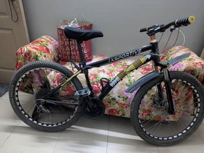 Used imported bicycle