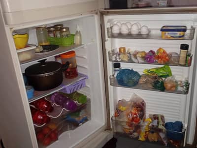 dawlence fridge