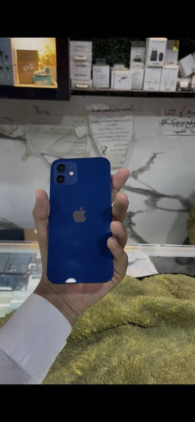 Apple iPhone 12