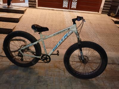 fat tyre cycle