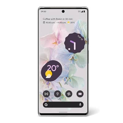 Google Pixel 6 Pro